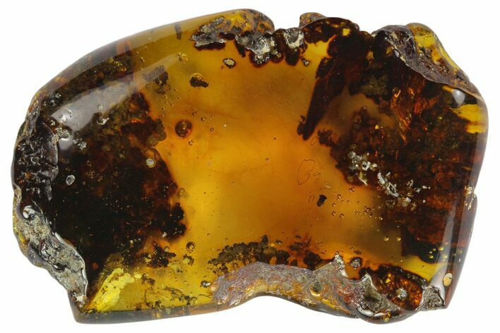 Polished Chiapas Amber ( g) - Mexico #114799